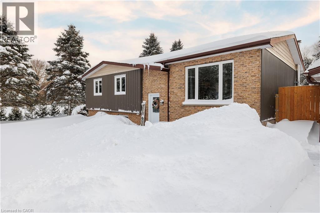 230 Saugeen Street, Grey Highlands, ON - Outdoor