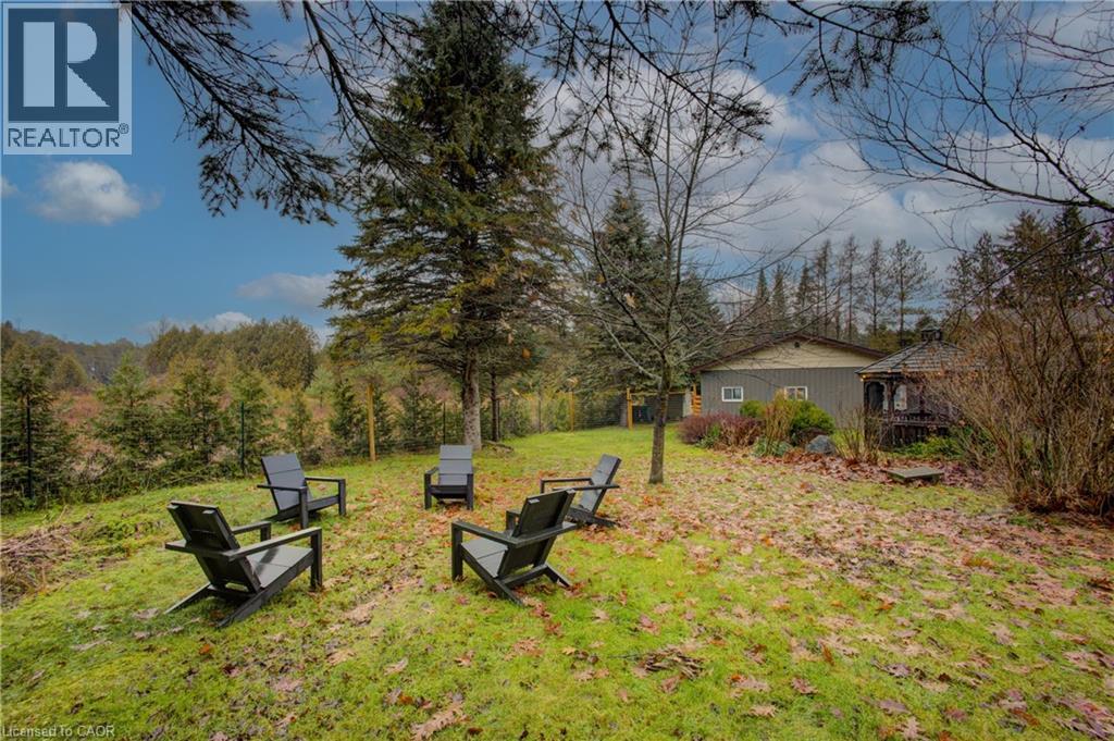 View of green lawn - 230 Saugeen Street, Grey Highlands, ON - Outdoor