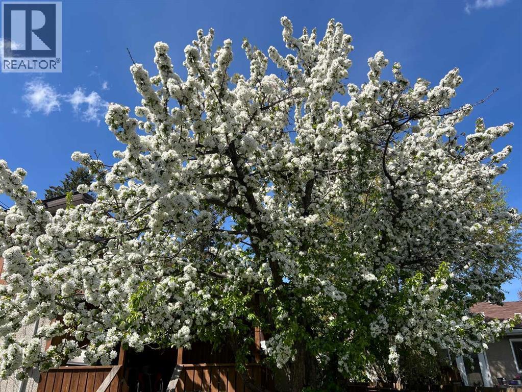 5315 Valiant Drive Nw, Calgary, AB - Outdoor