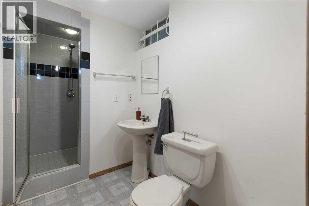 Basement bathroom - 173 Gordon Drive Sw, Calgary, AB - Indoor Photo Showing Bathroom