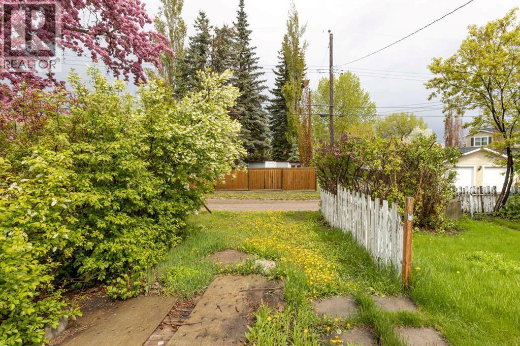 Backyard - 173 Gordon Drive Sw, Calgary, AB - Outdoor