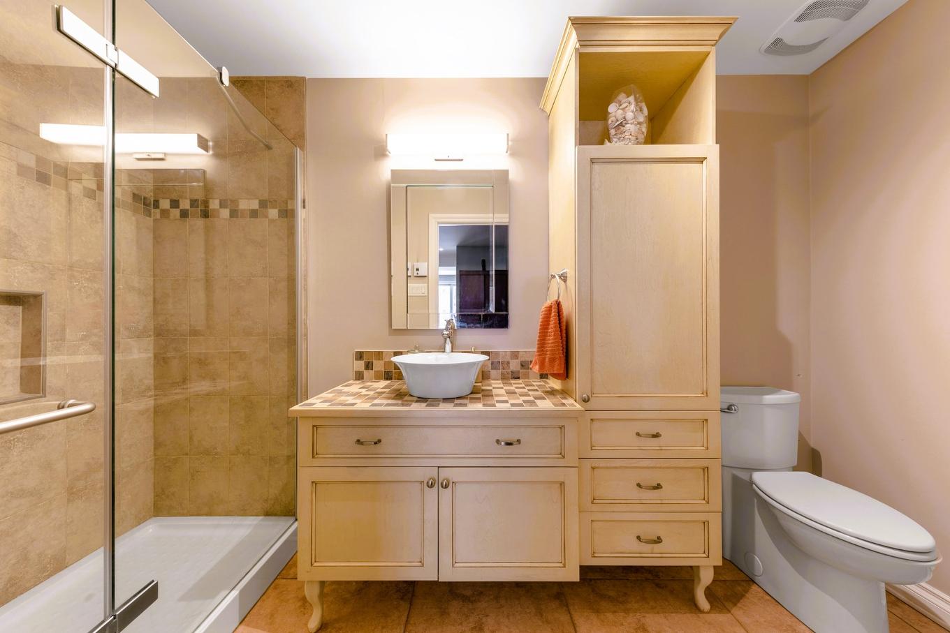 Salle de bains - 72 Tsse Du Ruisseau, Saint-Basile-Le-Grand, QC - Indoor Photo Showing Bathroom