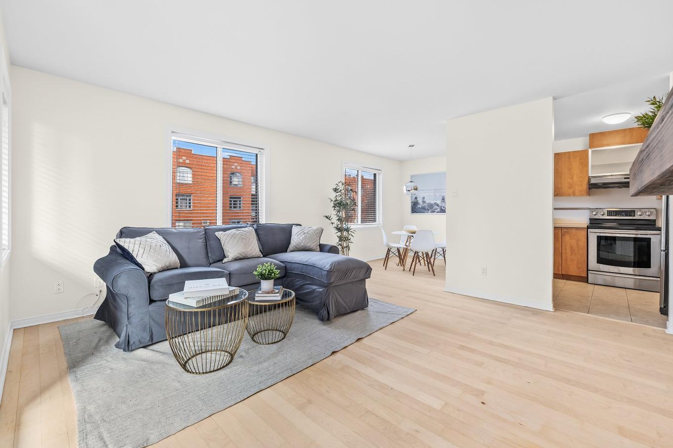 Salon - 102-233 Rue Du Dominion, Montréal (Le Sud-Ouest), QC - Indoor Photo Showing Living Room