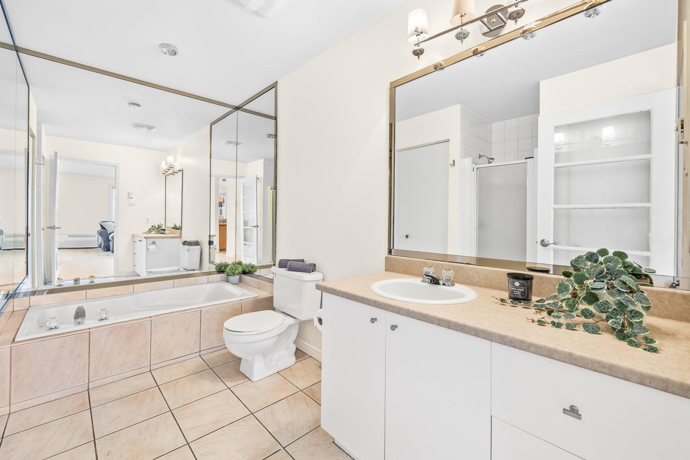 Salle de bains - 102-233 Rue Du Dominion, Montréal (Le Sud-Ouest), QC - Indoor Photo Showing Bathroom