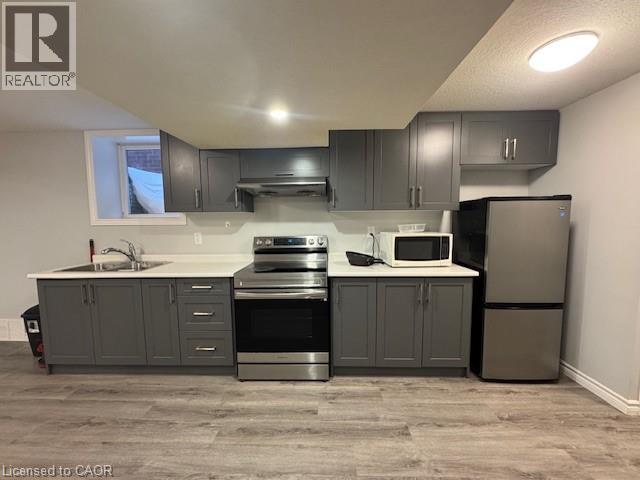 Kitchen featuring appliances with stainless steel finishes, gray cabinetry, light countertops, and light wood-style flooring - 509 St Moritz Avenue Unit# Lower, Waterloo, ON - Indoor Photo Showing Kitchen With Double Sink