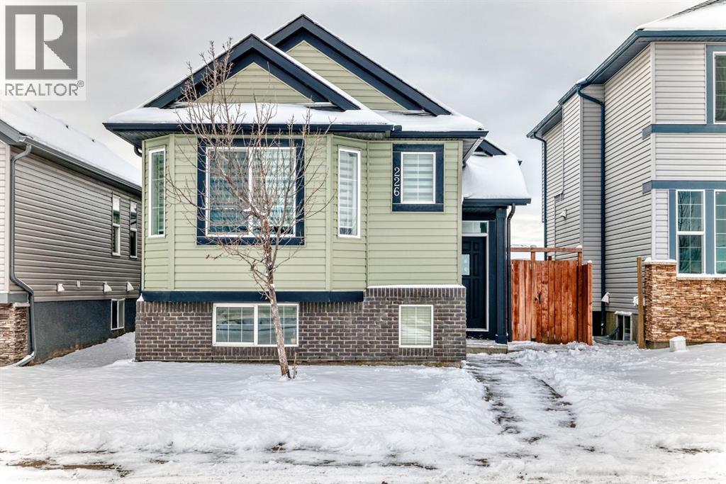 226 Saddlebrook Circle Ne, Calgary, AB - Outdoor