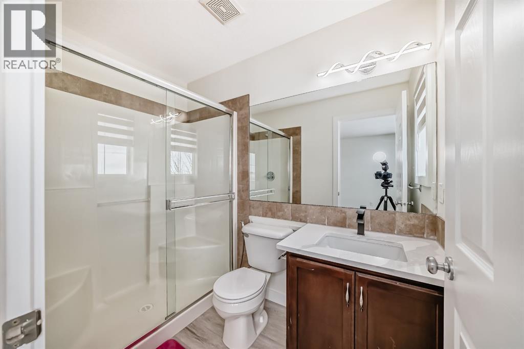 226 Saddlebrook Circle Ne, Calgary, AB - Indoor Photo Showing Bathroom