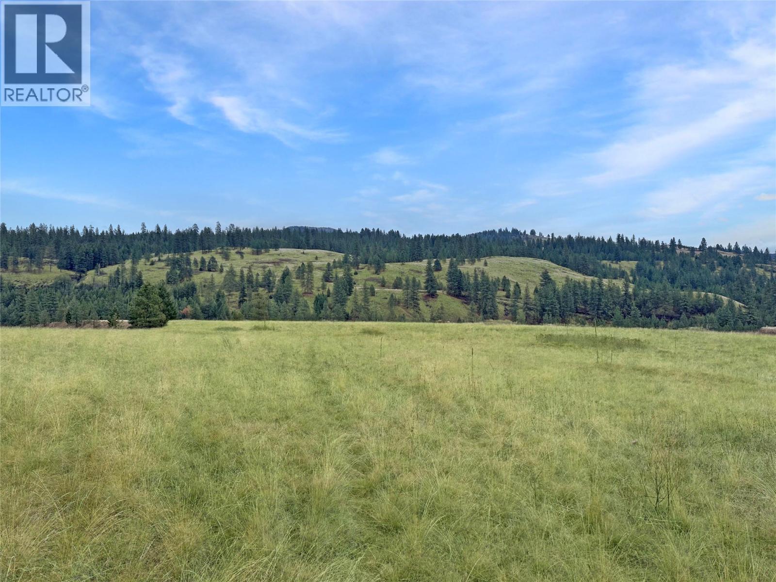 Lot 14 Thomet Avenue, Midway, BC