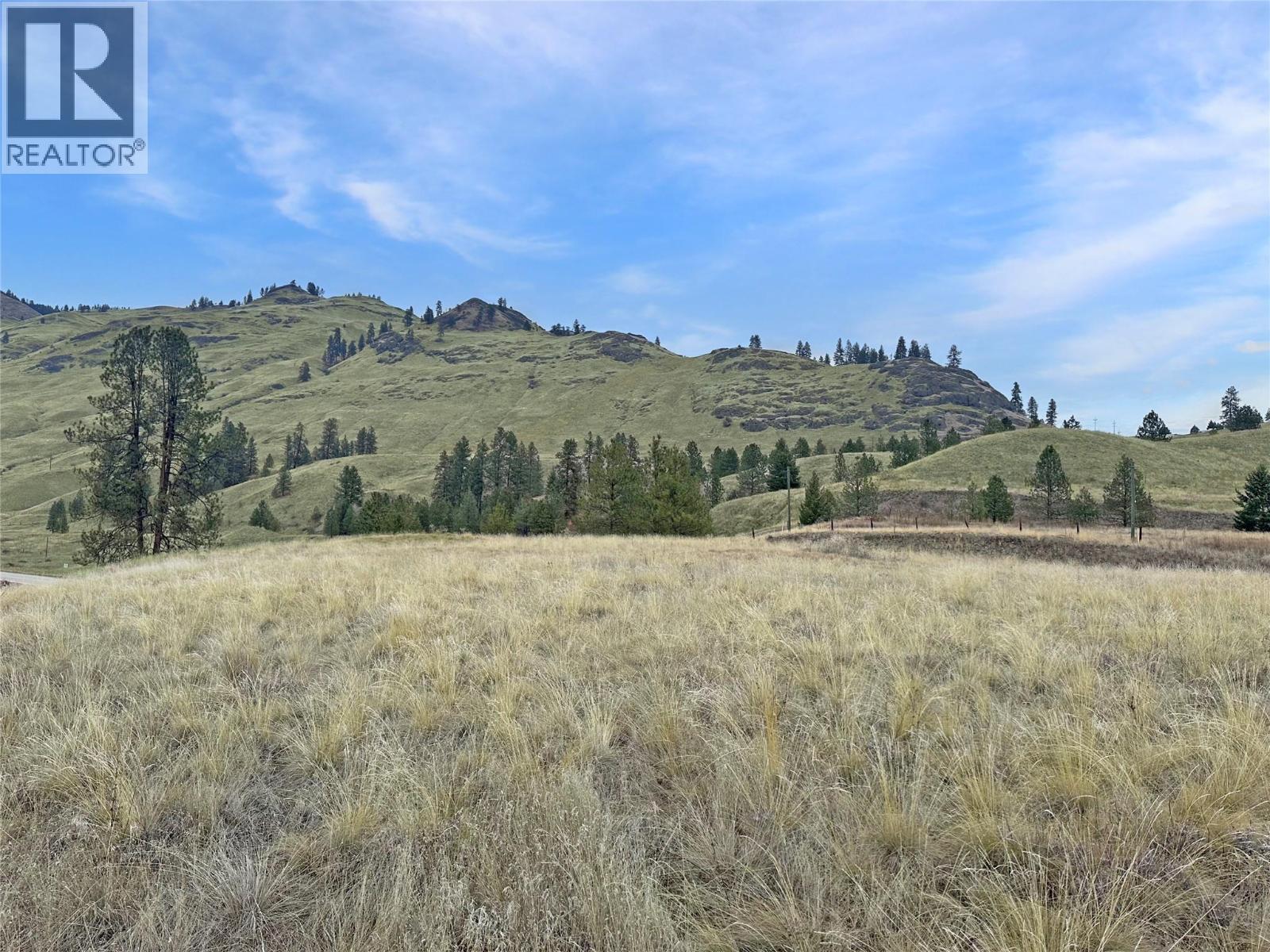 Lot 11 Thomet Avenue, Midway, BC