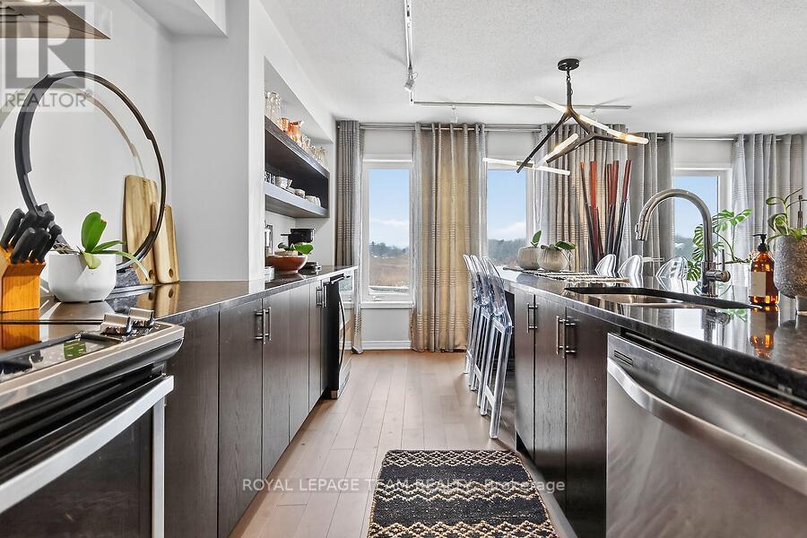 787 Element Private, Ottawa, ON - Indoor Photo Showing Kitchen With Double Sink With Upgraded Kitchen