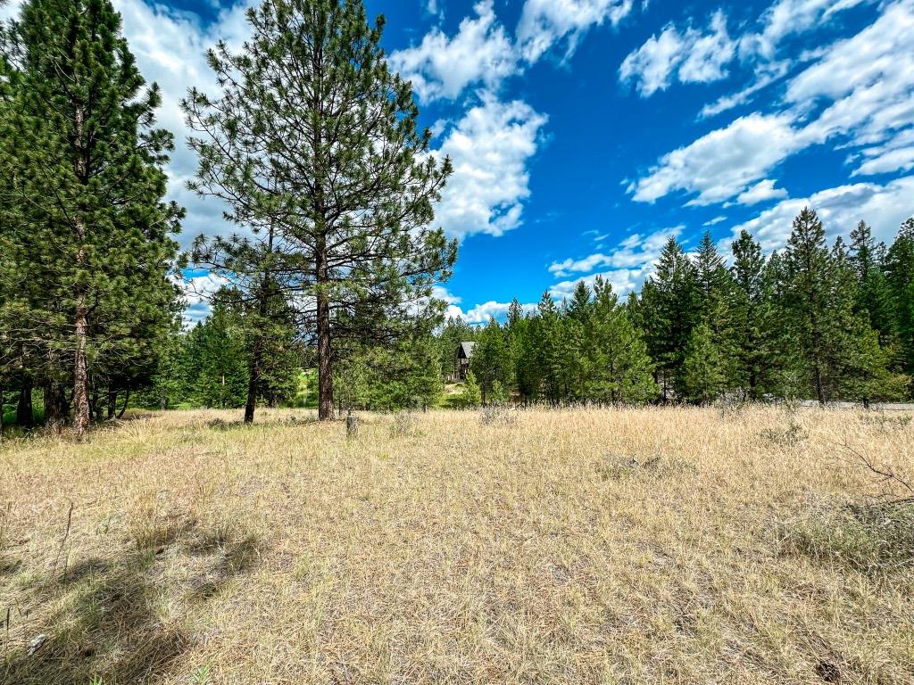 337 Corral Close, Cranbrook, BC - Outdoor With View