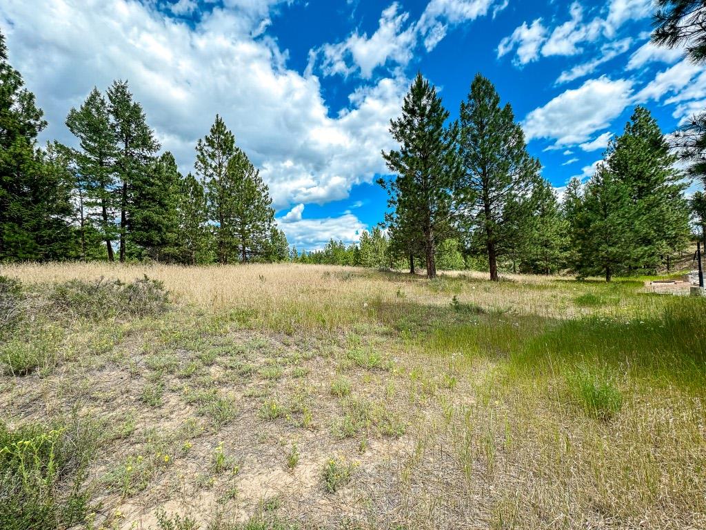 337 Corral Close, Cranbrook, BC - Outdoor With View