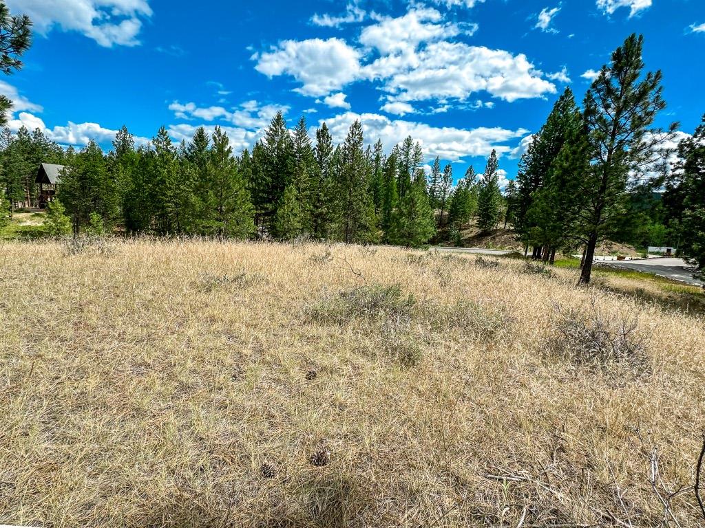 337 Corral Close, Cranbrook, BC - Outdoor With View