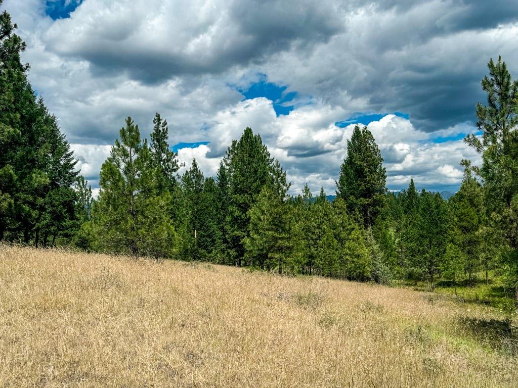 337 Corral Close, Cranbrook, BC - Outdoor With View