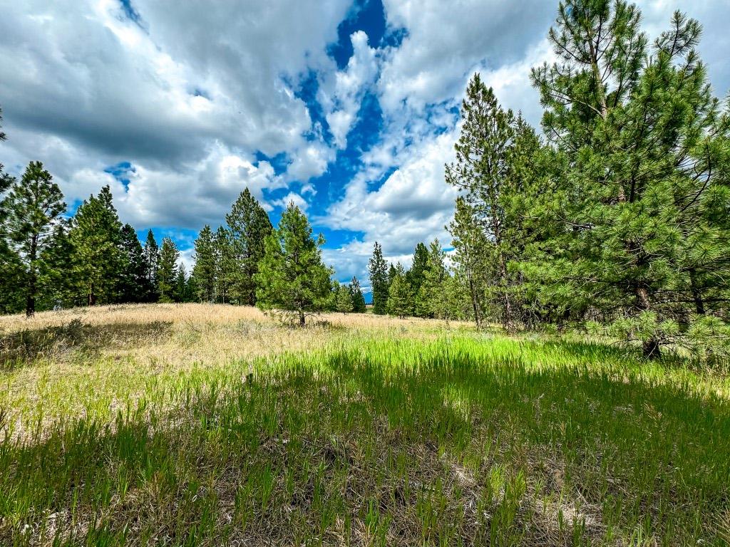 337 Corral Close, Cranbrook, BC - Outdoor With View