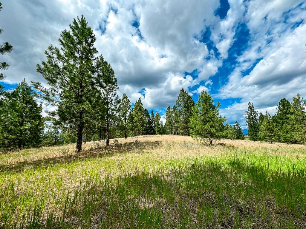 337 Corral Close, Cranbrook, BC - Outdoor With View