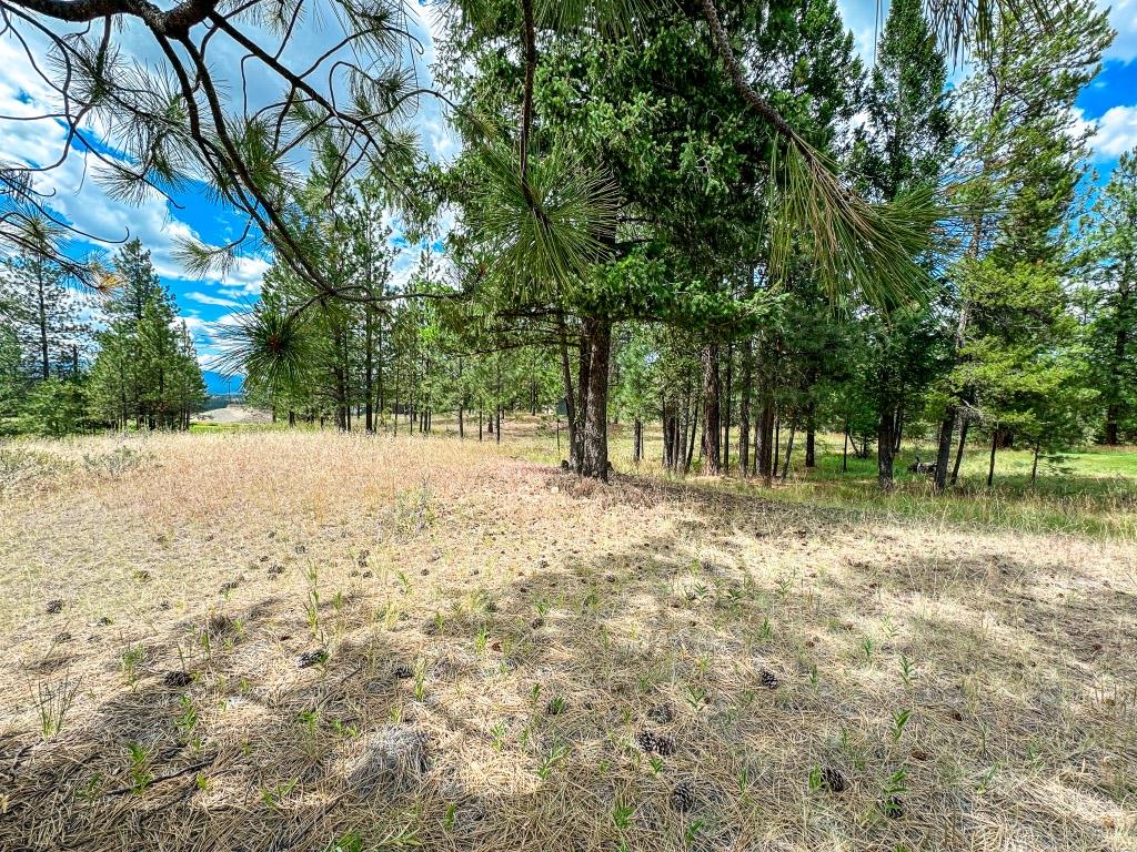 337 Corral Close, Cranbrook, BC - Outdoor With View