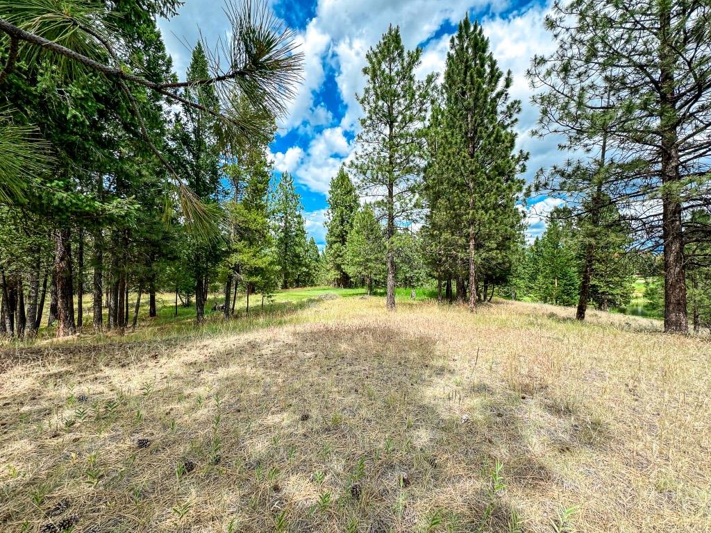 337 Corral Close, Cranbrook, BC - Outdoor
