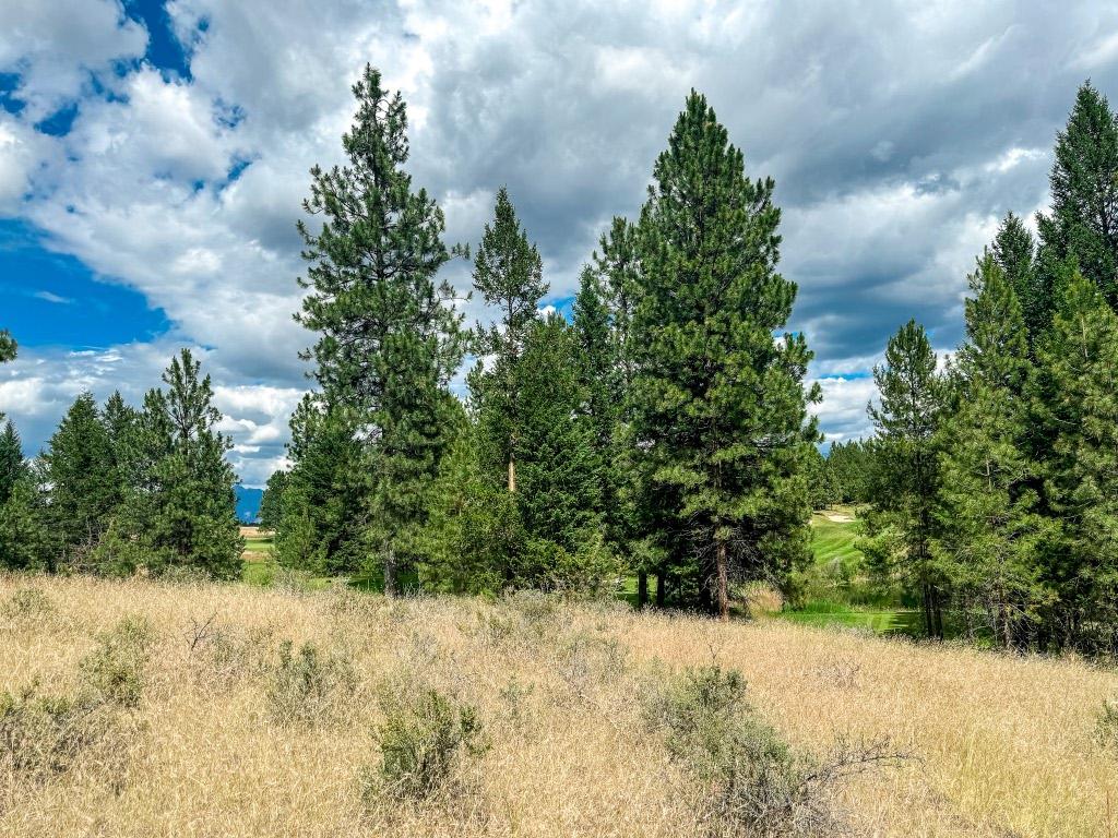 337 Corral Close, Cranbrook, BC - Outdoor With View