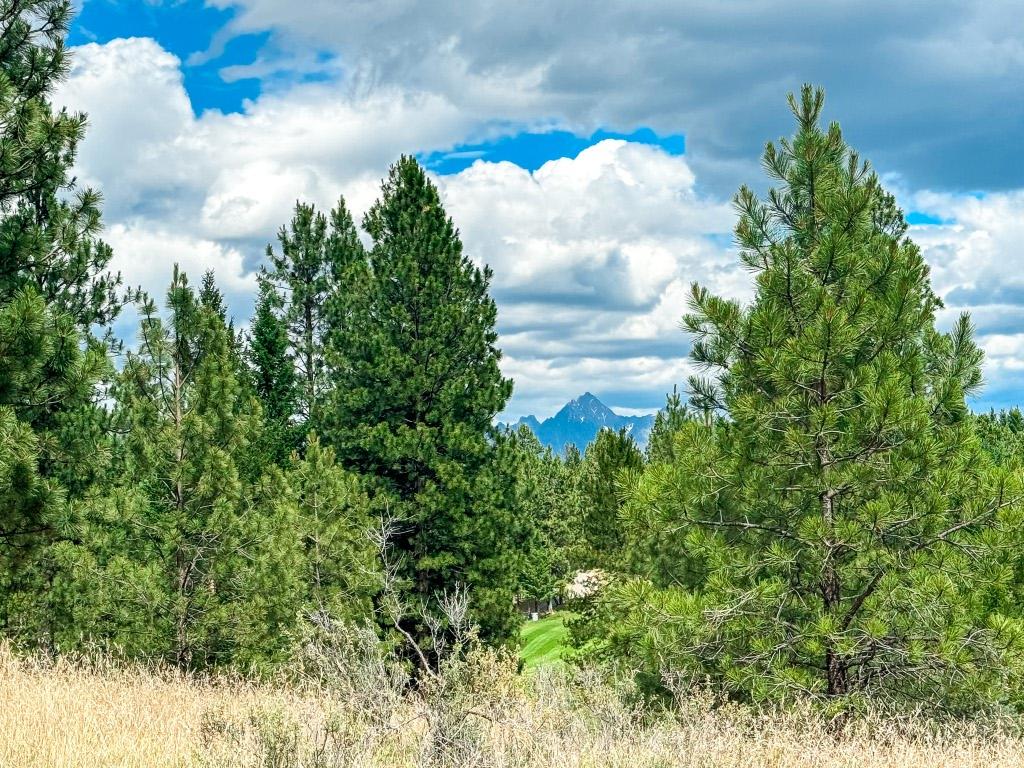 337 Corral Close, Cranbrook, BC - Outdoor With View