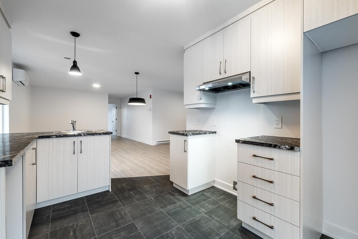 Cuisine - 7-6100 Rue De Lusa, Brossard, QC - Indoor Photo Showing Kitchen