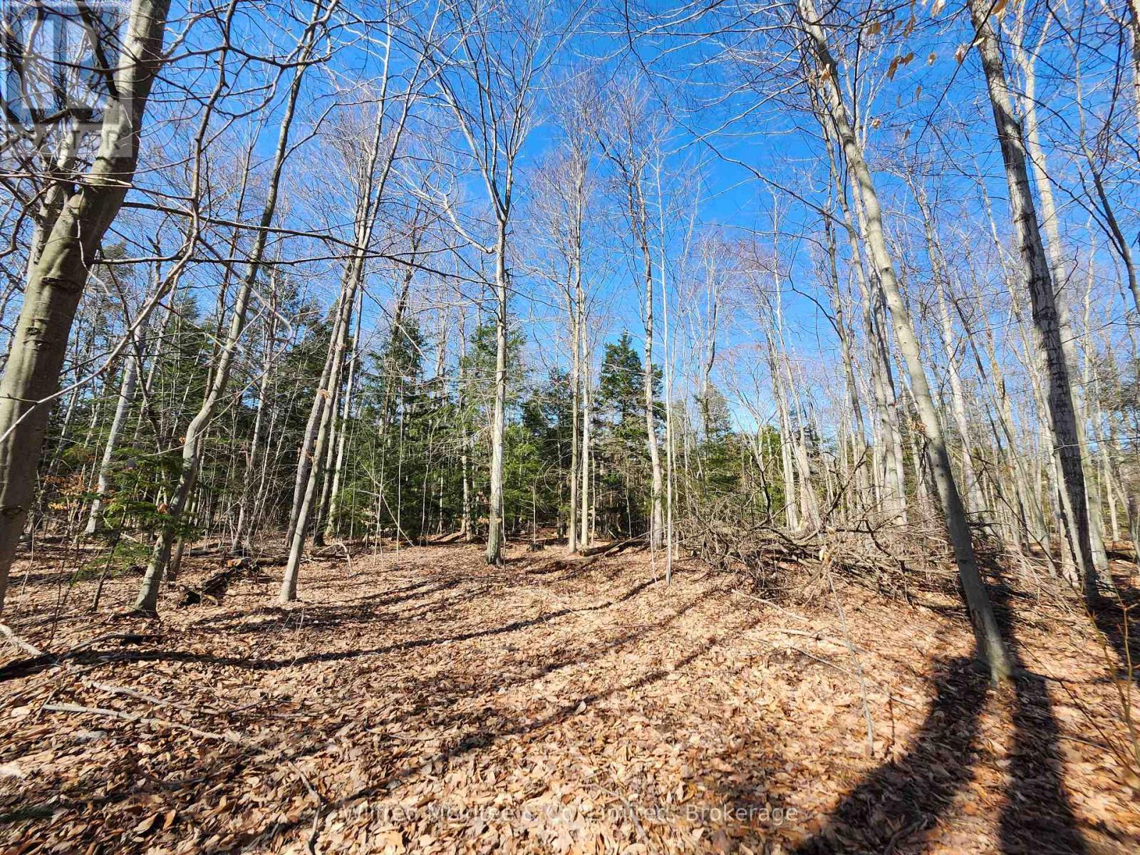 Pt Lt 31 Con 3 Tower Line, Central Huron (Goderich), ON