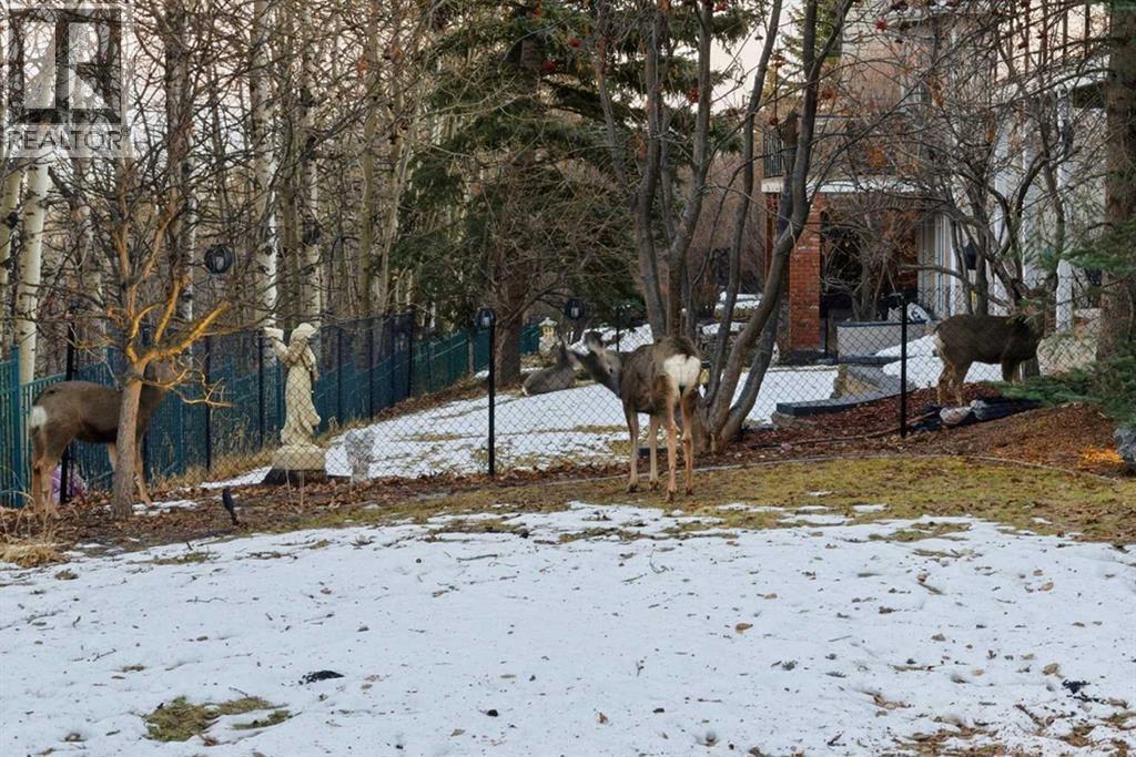 14 Christie Estate Terrace Sw, Calgary, AB - Outdoor