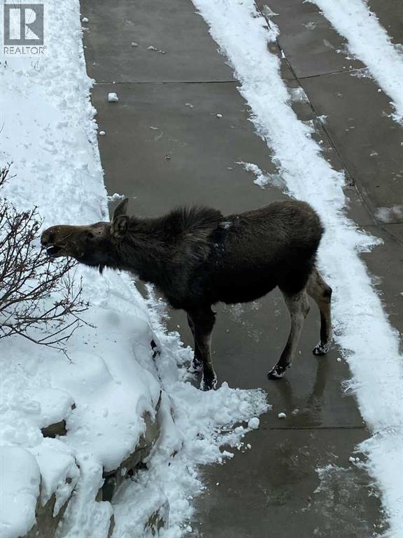 25 Posthill Drive Sw, Calgary, AB - Outdoor With Body Of Water