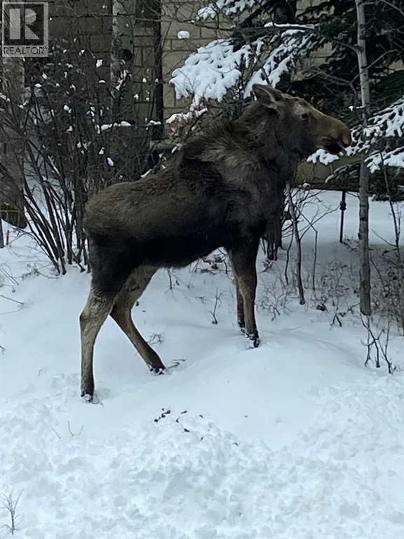 25 Posthill Drive Sw, Calgary, AB - Outdoor