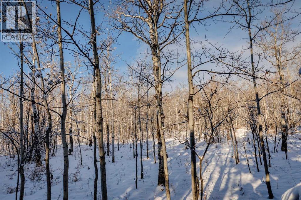 25 Posthill Drive Sw, Calgary, AB - Outdoor With View