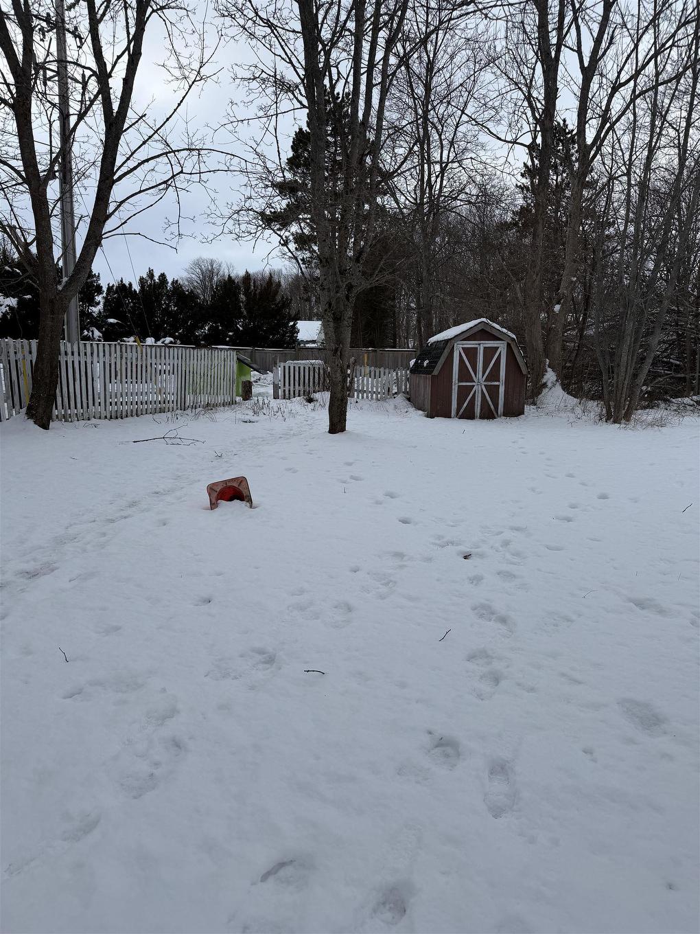 103 College Street, Antigonish, NS