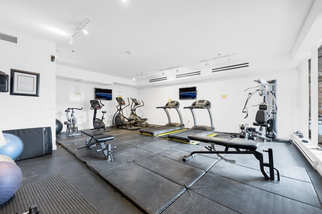 Exercise room - 219-750 32E Avenue, Montréal (Lachine), QC - Indoor Photo Showing Gym Room