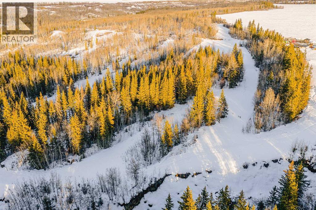 781004 42 Range, Rural Spirit River No. 133, M.D. Of, AB - Outdoor With View