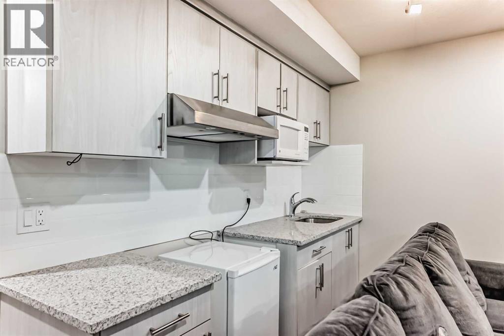 10097 46 Street Ne, Calgary, AB - Indoor Photo Showing Kitchen