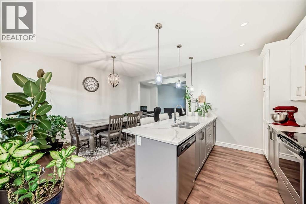 10097 46 Street Ne, Calgary, AB - Indoor Photo Showing Kitchen With Double Sink With Upgraded Kitchen