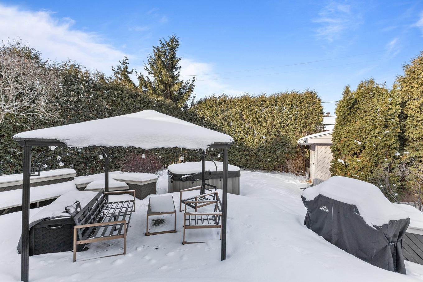 Backyard - 80 Rue Des Tourterelles, La Prairie, QC - Outdoor