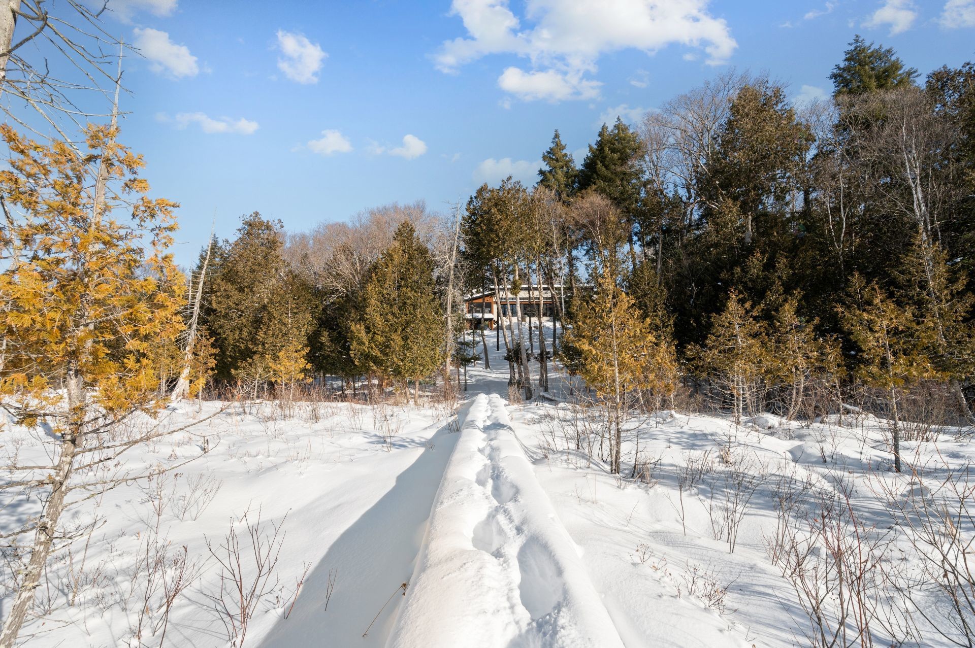 Vue d'ensemble - 10 Ch. De L'Oxalis, Harrington, QC - Outdoor With View