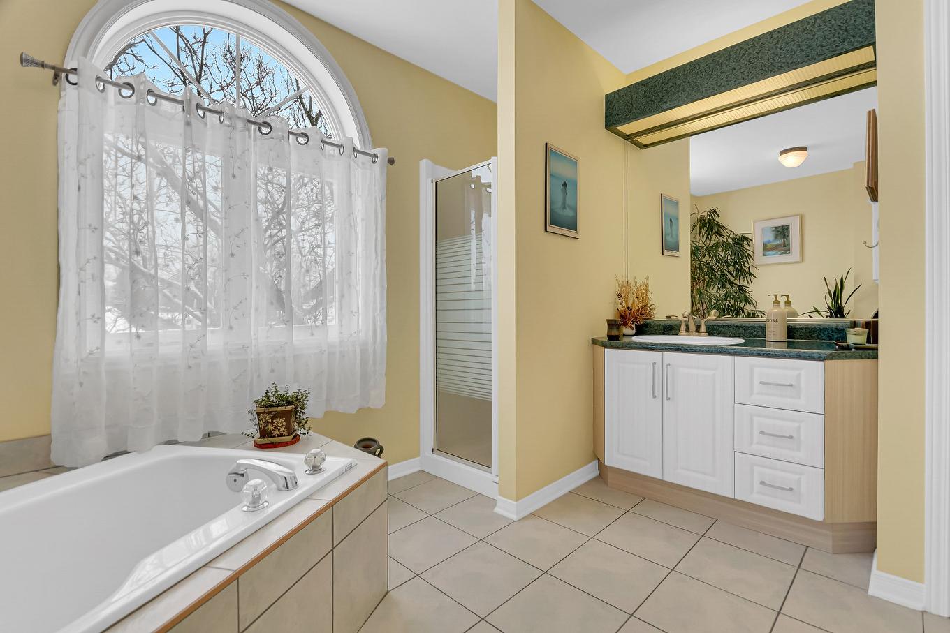 Bathroom - 12 Rue Gédéon-Létourneau, Saint-Basile-Le-Grand, QC - Indoor Photo Showing Bathroom