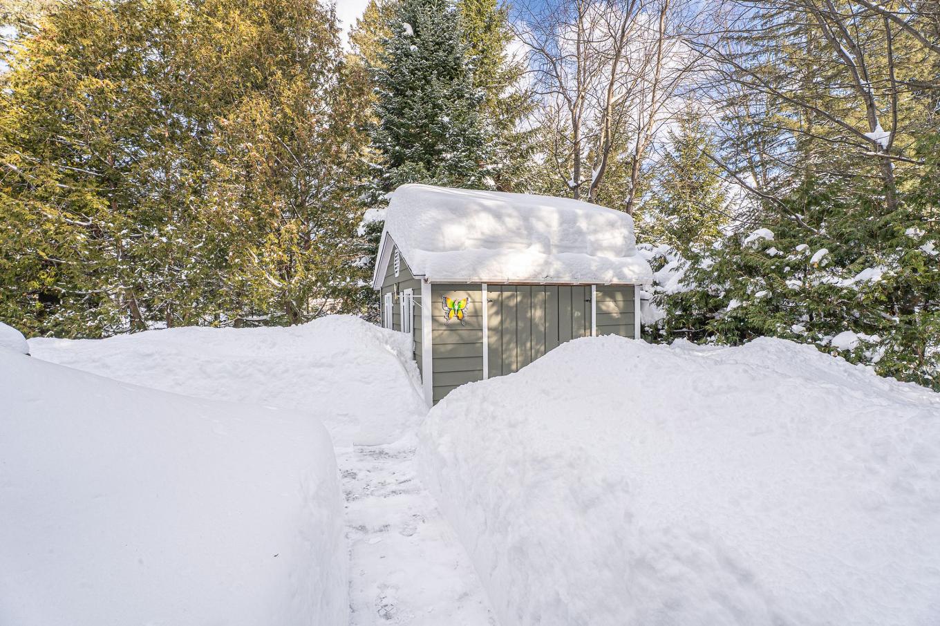 Remise - 66 Av. Turcot, Saint-Sauveur, QC - Outdoor