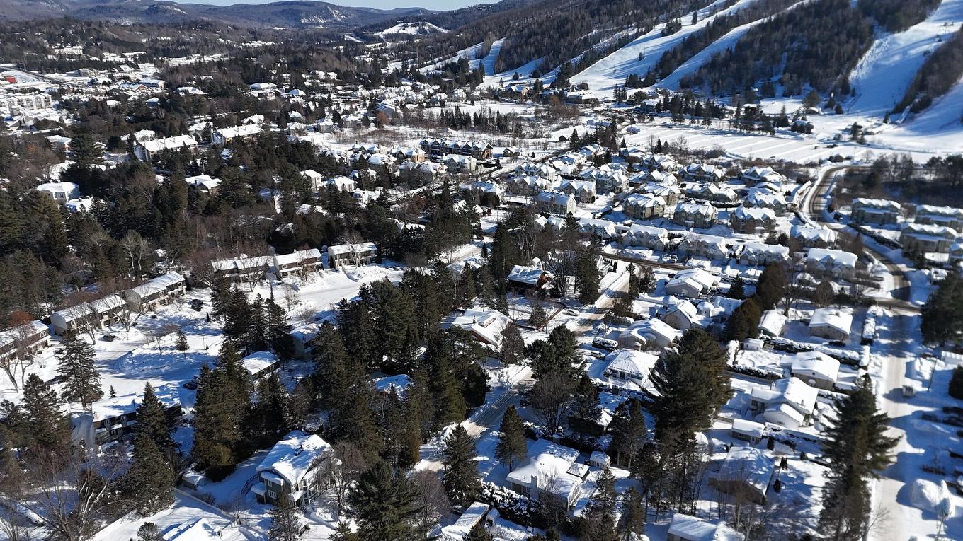 Vue d'ensemble - 66 Av. Turcot, Saint-Sauveur, QC - Outdoor With View