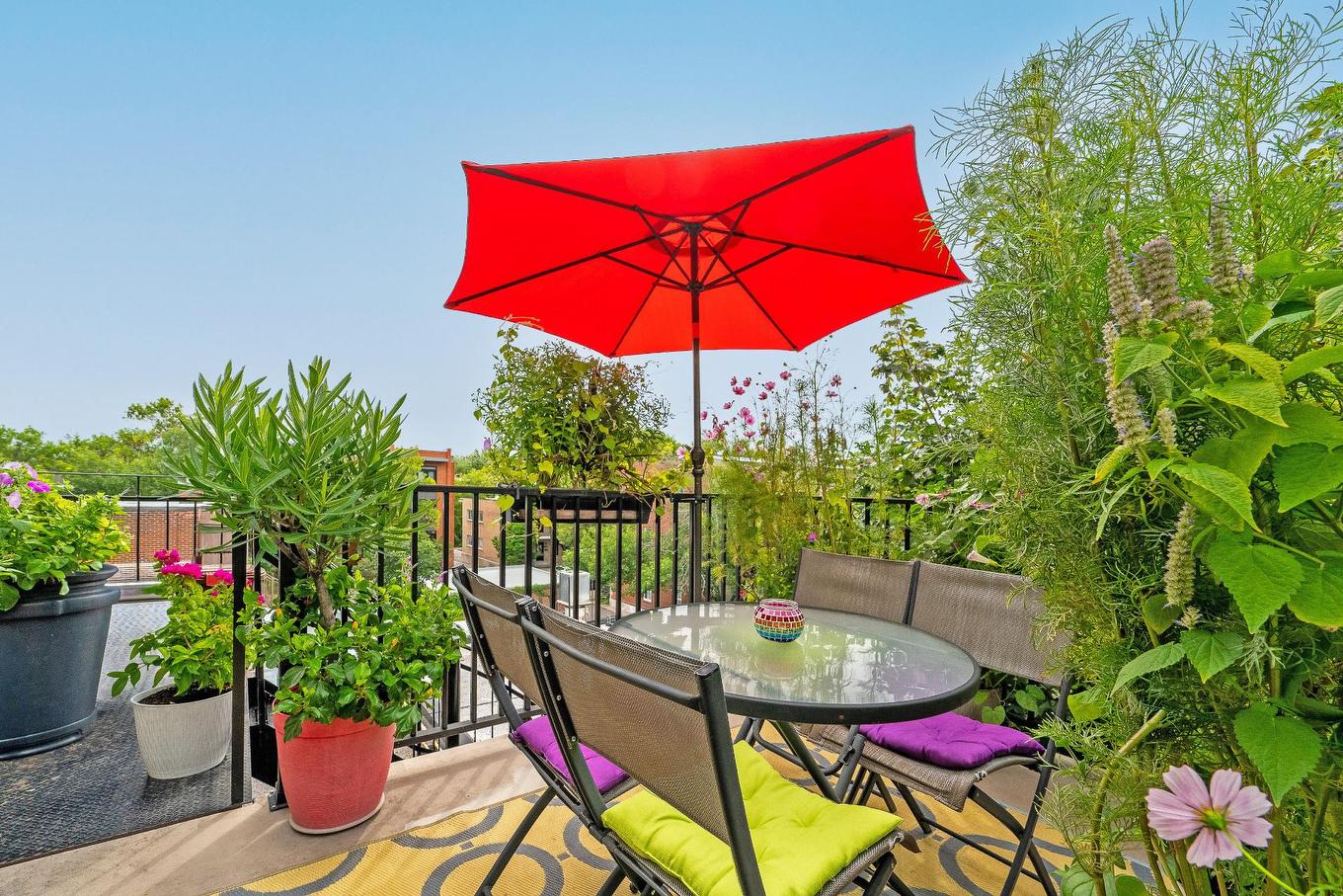 Terrasse - 401-3555 Rue De Rouen, Montréal (Mercier/Hochelaga-Maisonneuve), QC - Outdoor