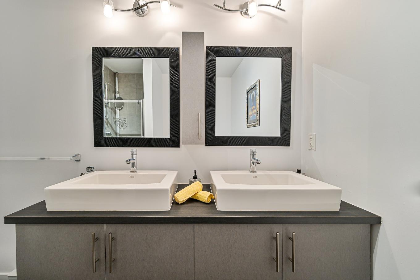 Salle de bains - 401-3555 Rue De Rouen, Montréal (Mercier/Hochelaga-Maisonneuve), QC - Indoor Photo Showing Bathroom