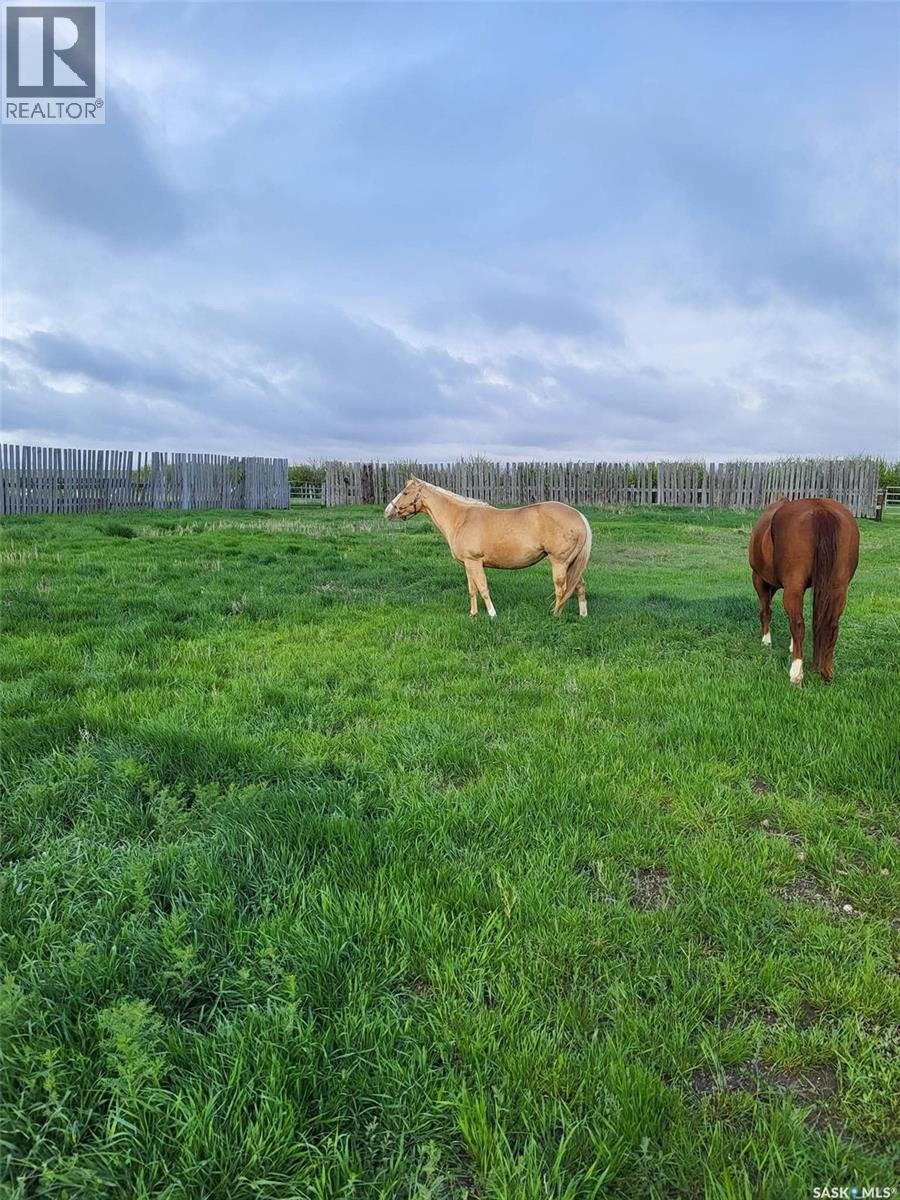 Rm Of Coulee Acreage, Coulee Rm No. 136, SK - Outdoor