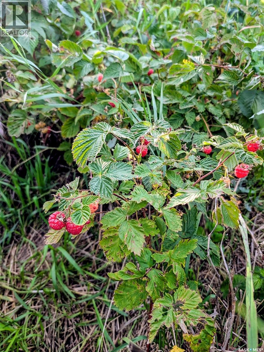 Rm Of Coulee Acreage, Coulee Rm No. 136, SK - Outdoor