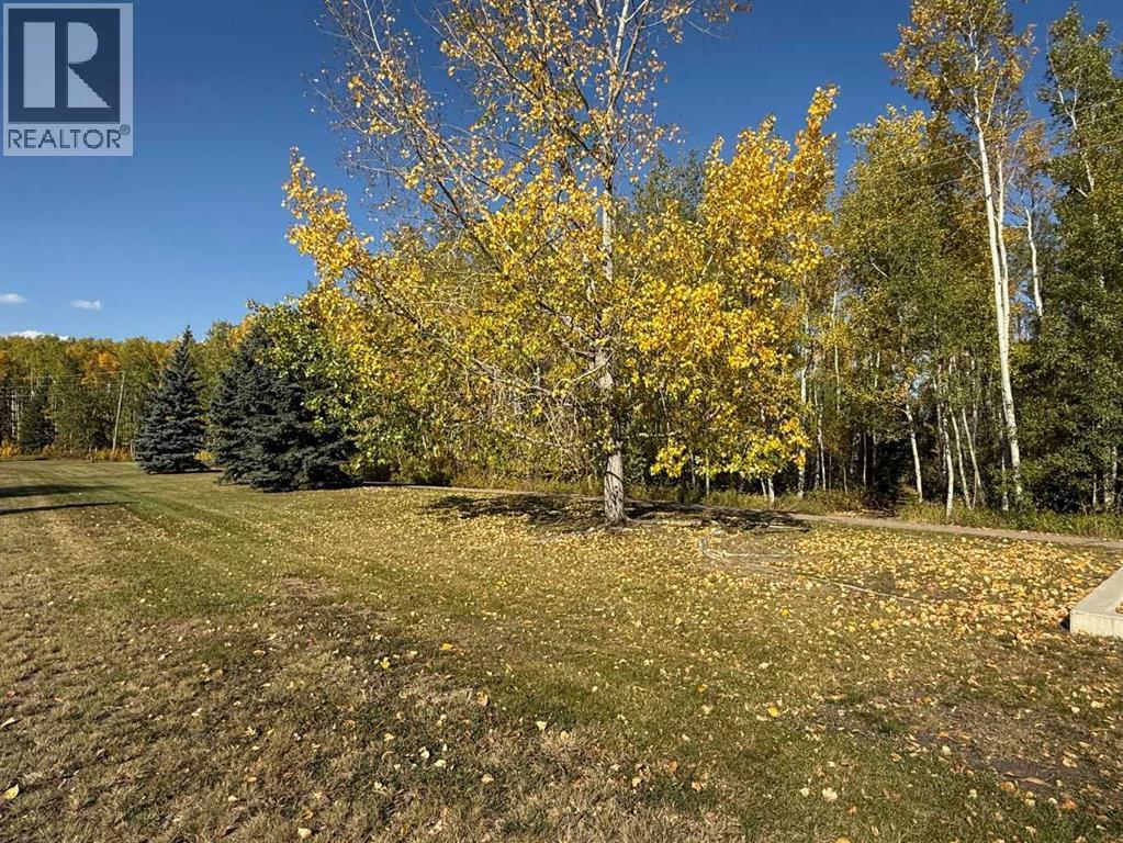 Birchwood trails across the street - 247 Cornwall Drive, Fort Mcmurray, AB - Outdoor With View