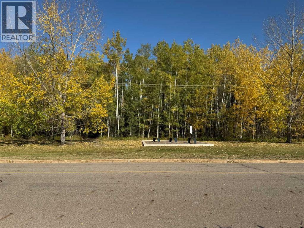 Birchwood trails across the street - 247 Cornwall Drive, Fort Mcmurray, AB - Outdoor With View
