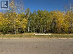 Birchwood trails across the street -