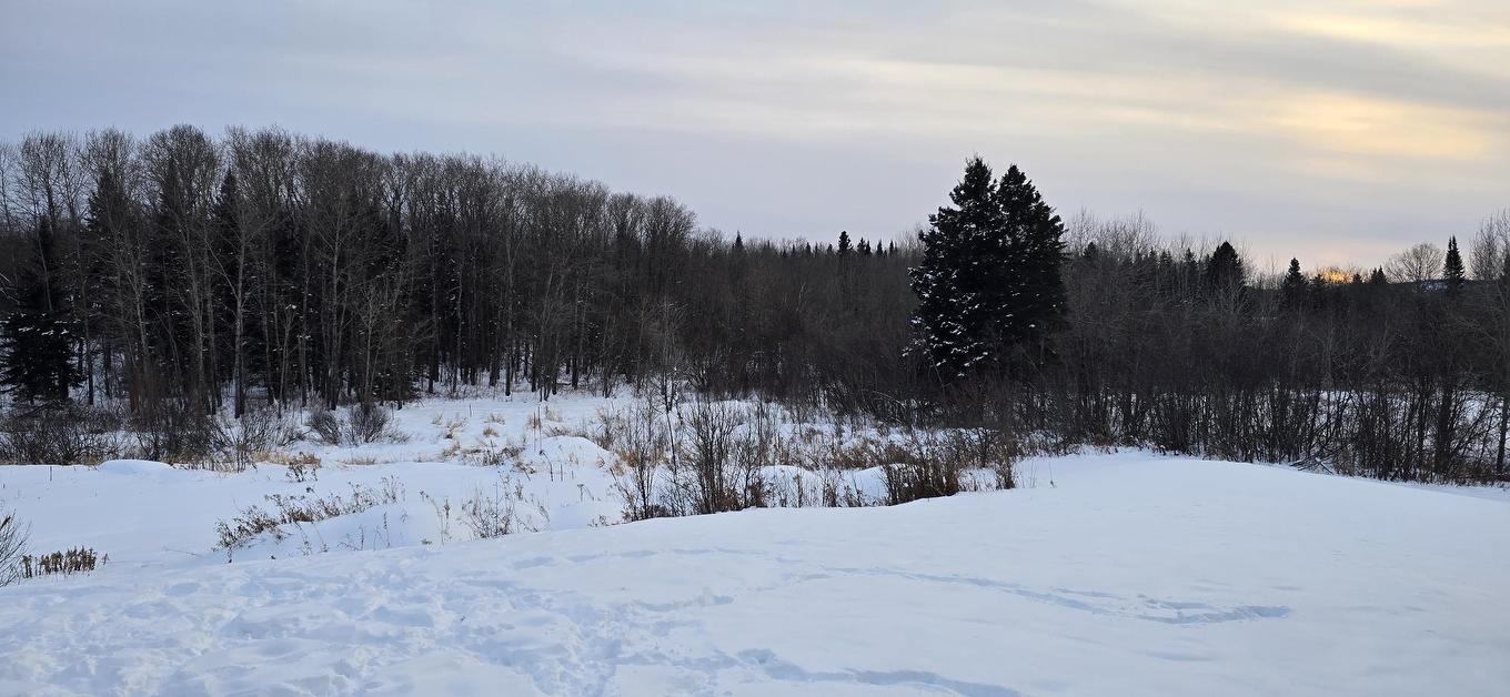 663 Barrie Dr, Oliver Paipoonge, ON - Outdoor With View