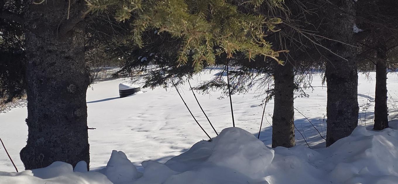 663 Barrie Dr, Oliver Paipoonge, ON - Outdoor With View