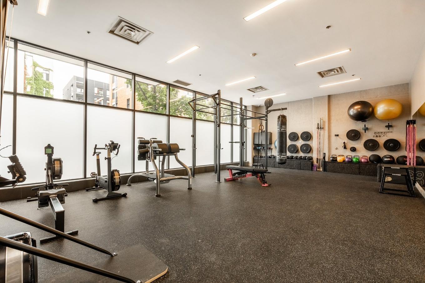 Salle d'exercice - 420-3700 Rue St-Antoine O., Montréal (Le Sud-Ouest), QC - Indoor Photo Showing Gym Room